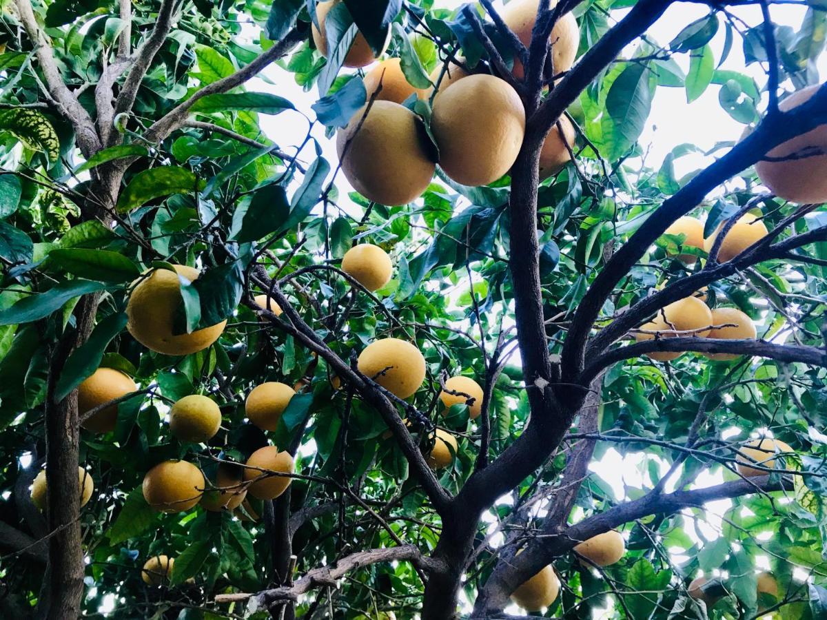 Casa Amigos Sorvilan - La Almendra ภายนอก รูปภาพ
