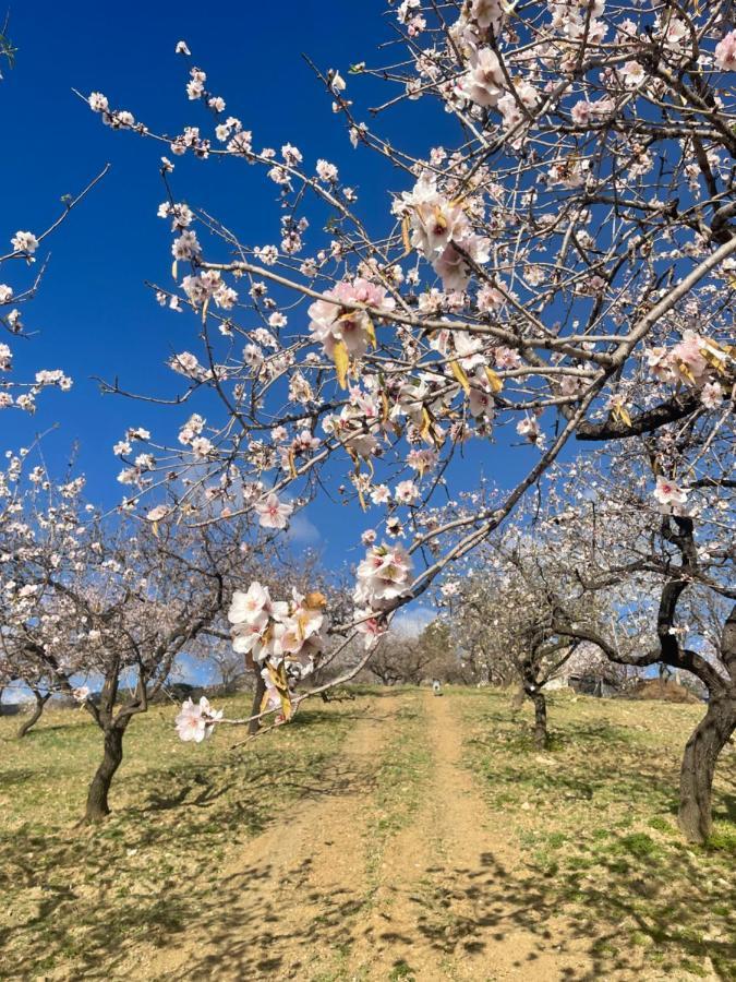 Casa Amigos Sorvilan - La Almendra ภายนอก รูปภาพ